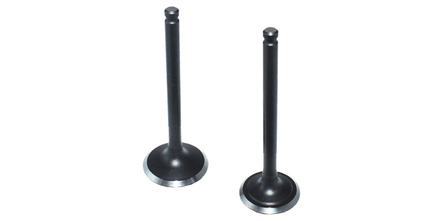 KIT VALVULAS  FD125 BEST - VIVAX 115