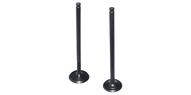 KIT VALVULAS  GN125H/GS125/GSX150