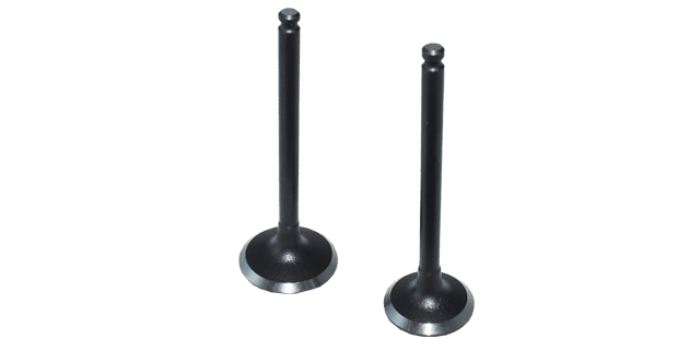 KIT VALVULAS  CRYPTON 110