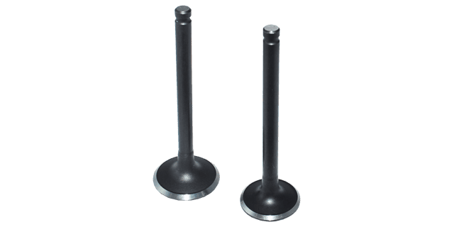 KIT VALVULAS AK110S/ ACTIV110/ WAVE/ C100-BIZ ECO100/ ECO DELUXE/ IMMO MANTIZ (INTERNAL)