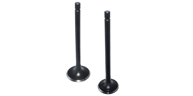 KIT VALVULAS AK125SL/AK125EVO/TT/ VICTORY BOMBER 125/ 125 SPORT/ FRATELLI FTR 125