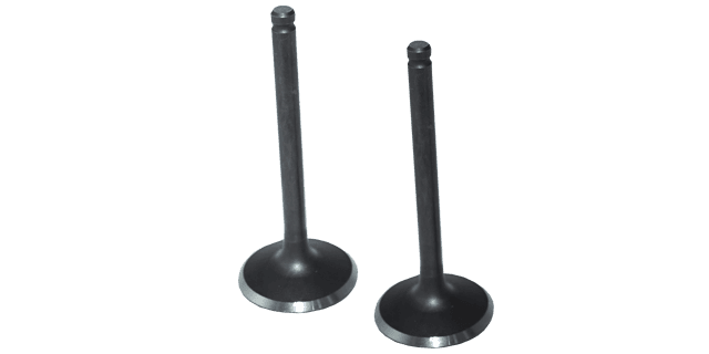 KIT VALVULAS  AKT 125W FLEX