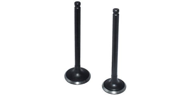 KIT VALVULAS  SUZUKI AX 100/4