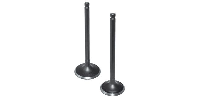 KIT VALVULAS  SUZUKI DR 200