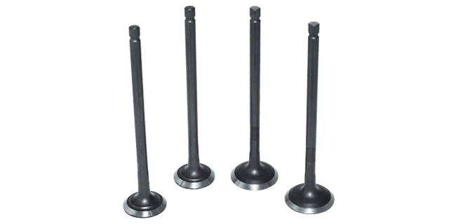 KIT VALVULAS DISCOVER 125 ST / DISCOVER150 (4 PIECES)