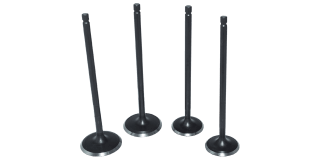 KIT VALVULAS PULSAR 200NS (4 PIECES)