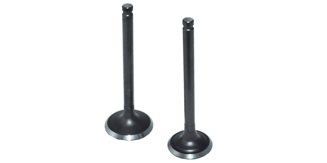 KIT VALVULAS VIVA 115