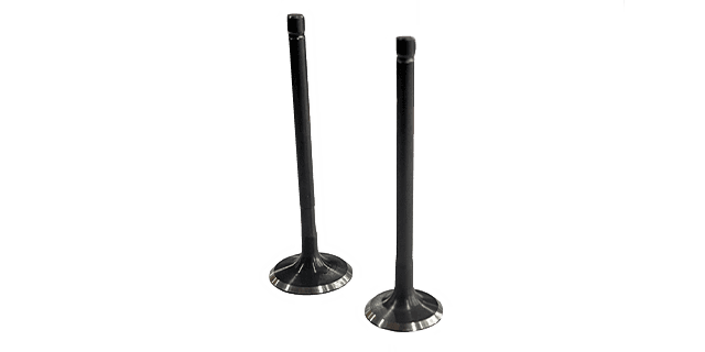 KIT VALVULAS PLATINO 110