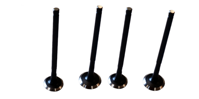 KIT VALVULAS DISCOVER 100 M / DISCOVER 110 (4 PIEZAS)