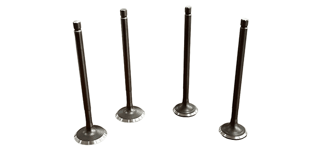 KIT VALVULAS APACHE RTR 200 (4 PIECES)