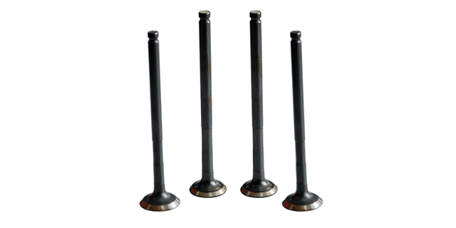 KIT VALVULAS N MAX 150