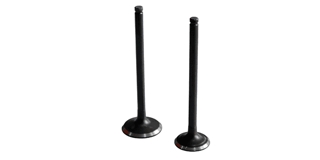 KIT VALVULAS DYNAMIC R 125/ JET 4 125