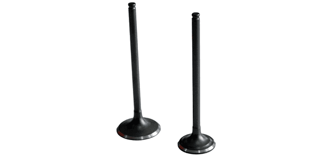 KIT VALVULAS SERPENTO SPIRIT 250