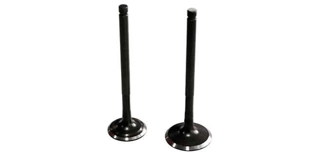 KIT VALVULAS MATRIX ELEGANCE